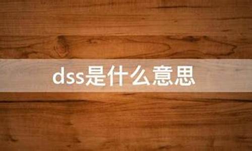 dss是什么意思_diss是什么意思网络热词